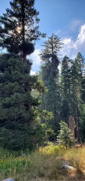 Willow Prairie Horse Campground Picture 4