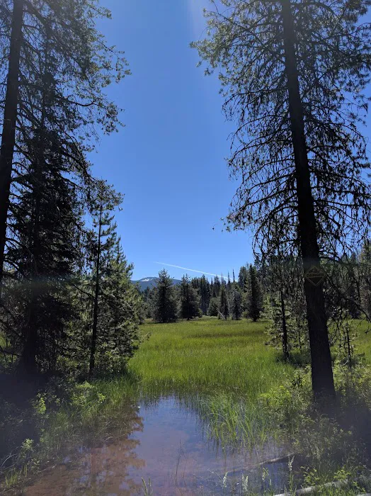 Lake of the Woods Rec Area Picture 5