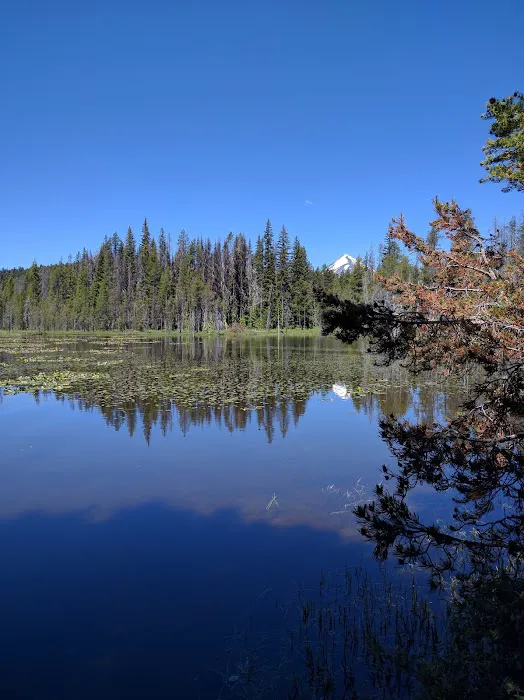 Lake of the Woods Rec Area Picture 4