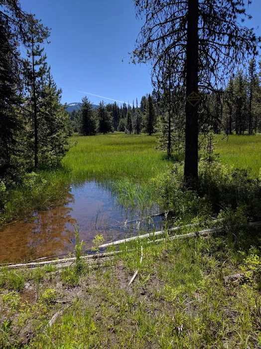 Lake of the Woods Rec Area Picture 1