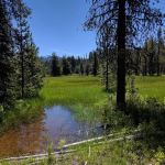 Lake of the Woods Rec Area