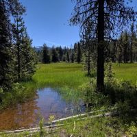 Lake of the Woods Rec Area ico