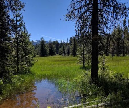 Lake of the Woods Rec Area