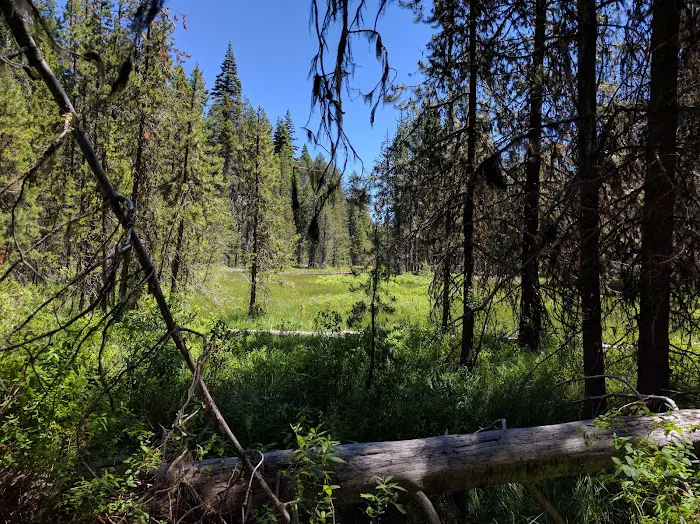 Lake of the Woods Rec Area Picture 6