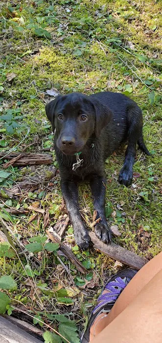 Fourbit Ford Campground Picture 5