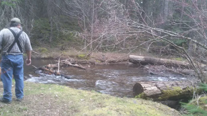 Fourbit Ford Campground Picture 2