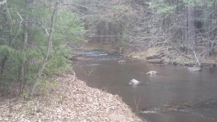 Fourbit Ford Campground Picture 4