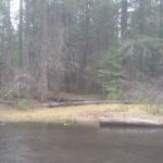 Fourbit Ford Campground