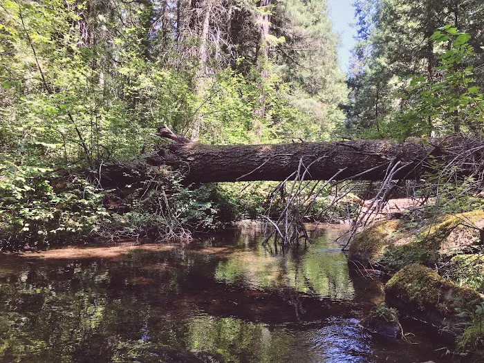 Fourbit Ford Campground Picture 8