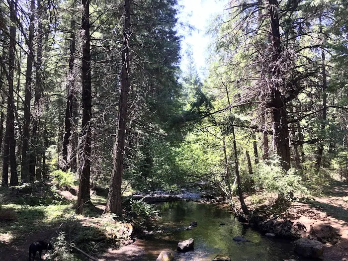 Fourbit Ford Campground Picture 7