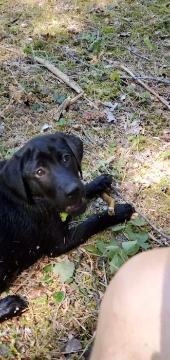 Fourbit Ford Campground Picture 3