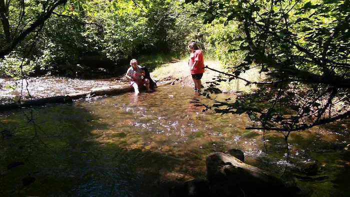 Fourbit Ford Campground Picture 9