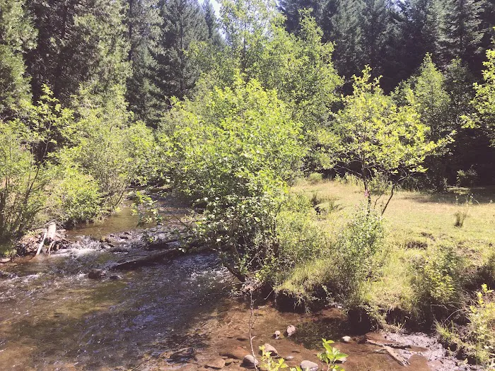 Whiskey Springs Campground Picture 7