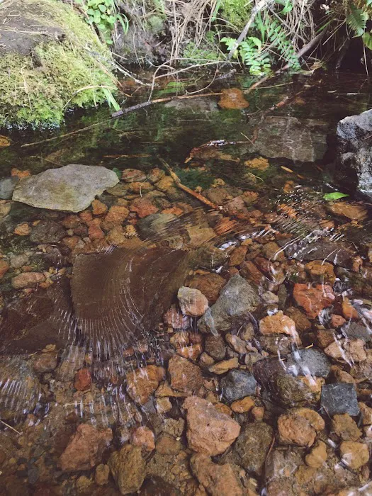 Whiskey Springs Campground Picture 6