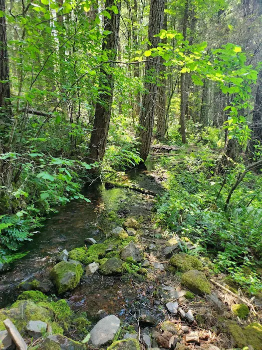 Whiskey Springs Campground Picture 10