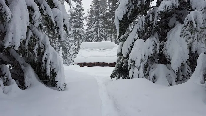 South Brown Mountain Shelter Picture 9