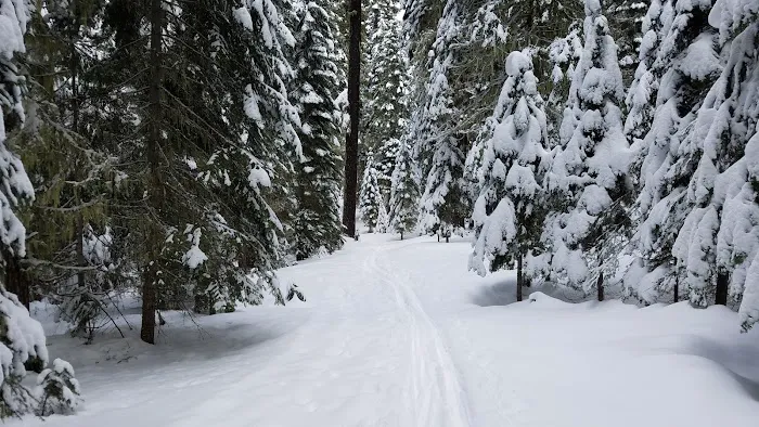 South Brown Mountain Shelter Picture 5