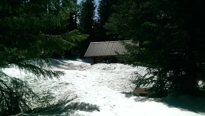South Brown Mountain Shelter Picture 2