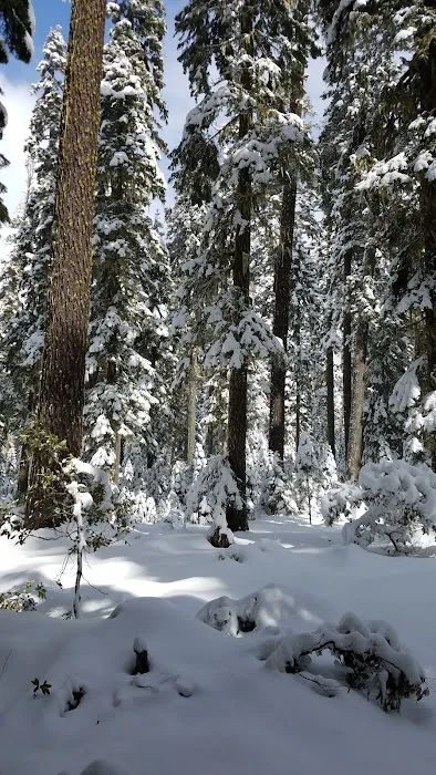 South Brown Mountain Shelter Picture 4