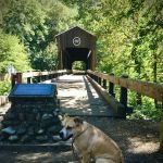 McKee Bridge Community Kitchen