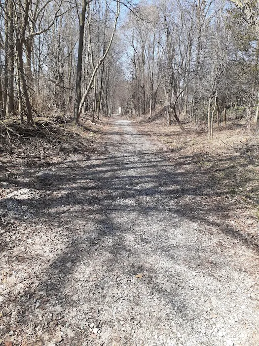 Manchester Manor Picture 3