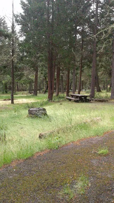 Flumet Flat Group Campground Picture 7
