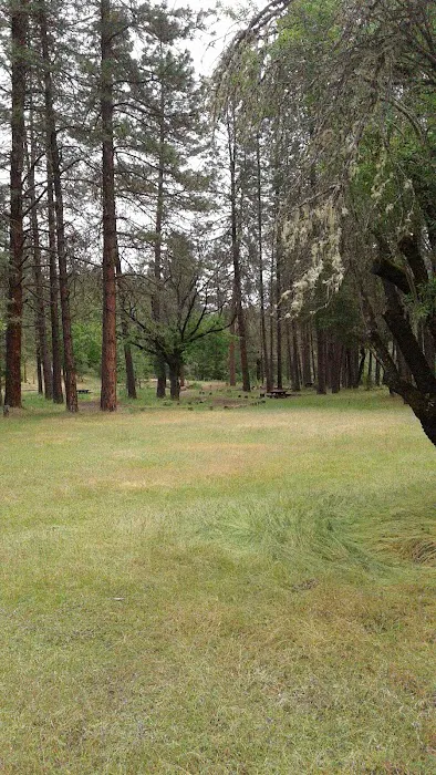 Flumet Flat Group Campground Picture 3