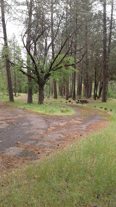 Flumet Flat Group Campground Picture 4