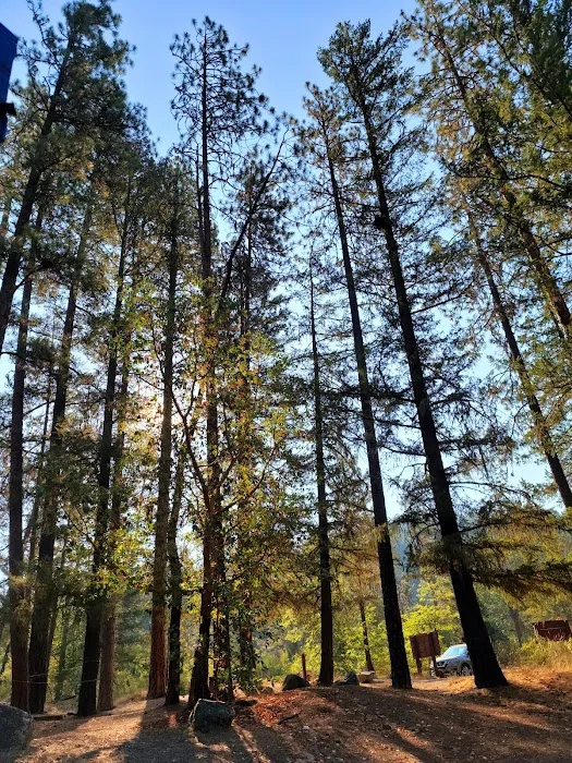 Jackson Campground on the Applegate River Picture 10