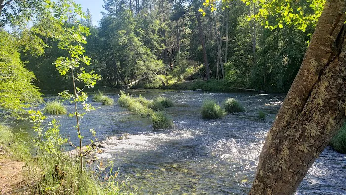 Jackson Campground on the Applegate River Picture 6