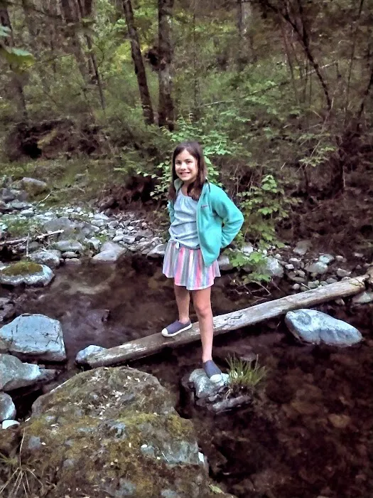 Beaver-Sulphur Group Campground Picture 1