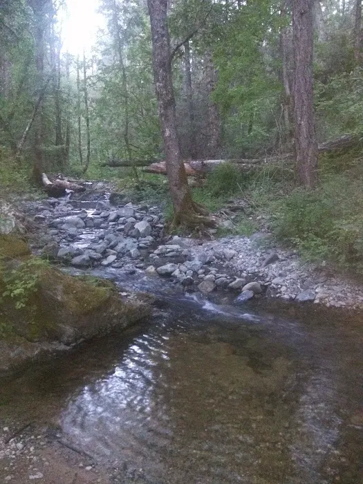Beaver-Sulphur Group Campground Picture 2