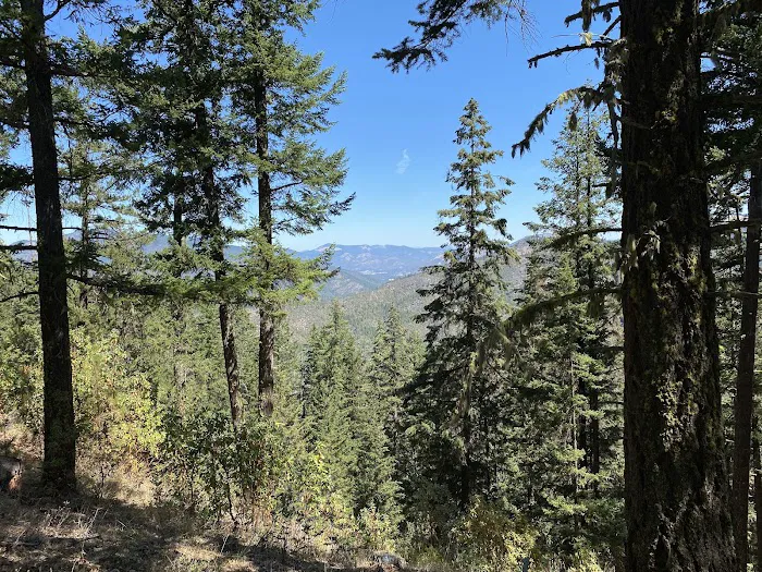Charlie Buck / Baldy Peak Trailhead (recgovnpsdata) Picture 7