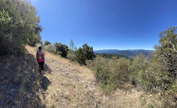 Charlie Buck / Baldy Peak Trailhead (recgovnpsdata) Picture 2
