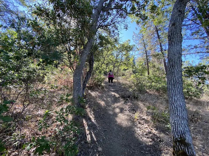 Charlie Buck / Baldy Peak Trailhead (recgovnpsdata) Picture 9