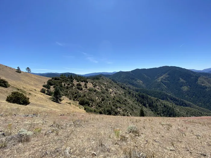 Charlie Buck / Baldy Peak Trailhead (recgovnpsdata) Picture 4