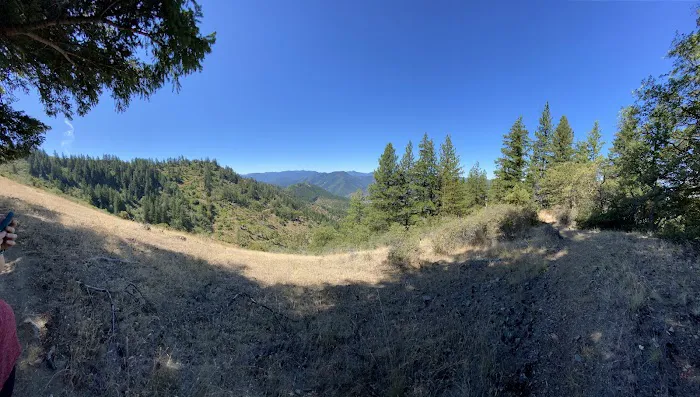 Charlie Buck / Baldy Peak Trailhead (recgovnpsdata) Picture 8