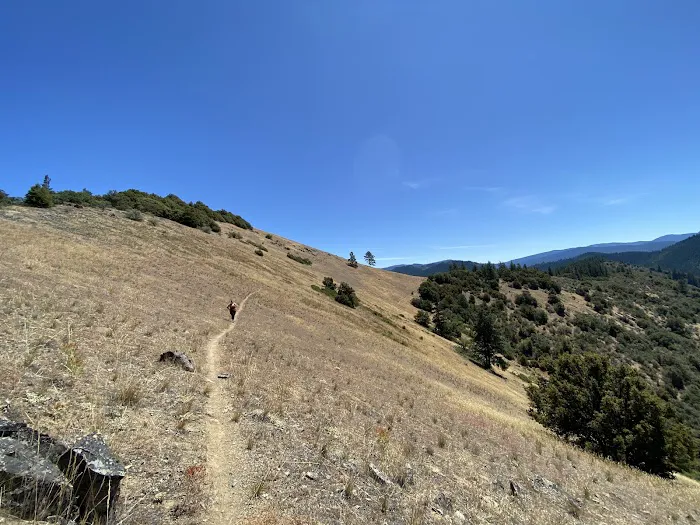 Charlie Buck / Baldy Peak Trailhead (recgovnpsdata) Picture 1