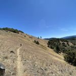 Charlie Buck / Baldy Peak Trailhead (recgovnpsdata)