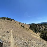 Charlie Buck / Baldy Peak Trailhead (recgovnpsdata) ico