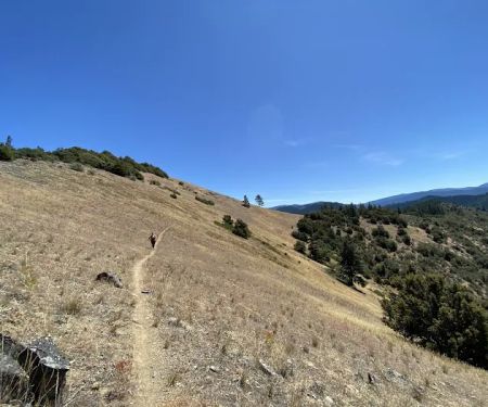 Charlie Buck / Baldy Peak Trailhead (recgovnpsdata)