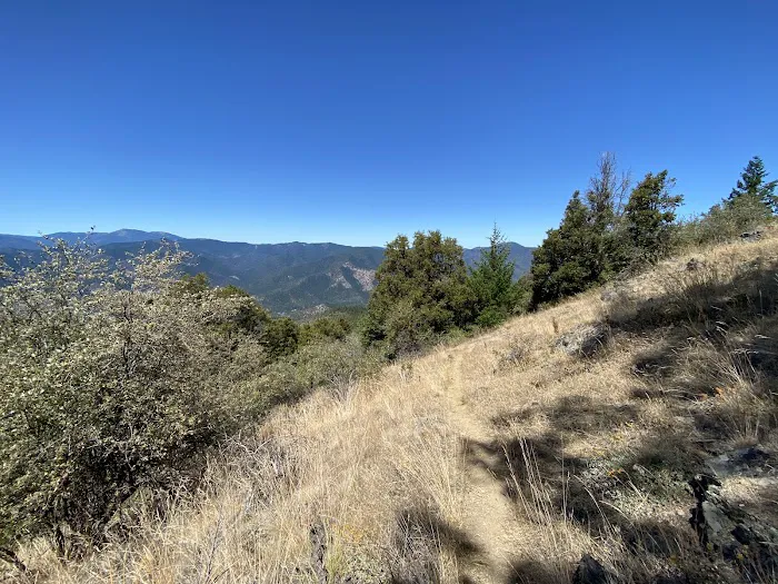 Charlie Buck / Baldy Peak Trailhead (recgovnpsdata) Picture 10