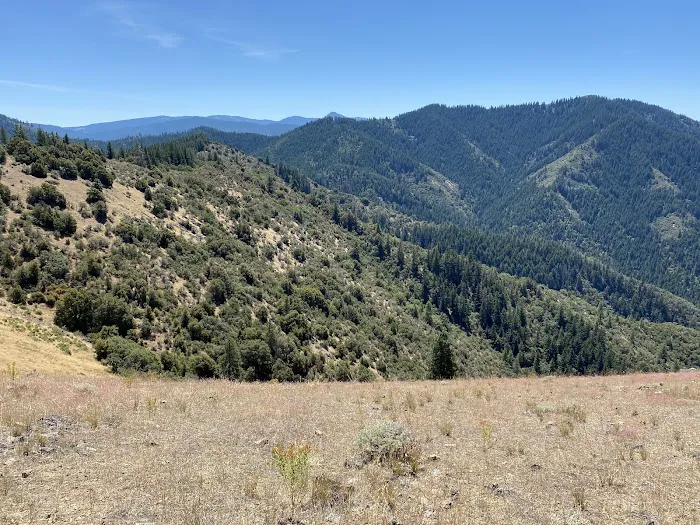 Charlie Buck / Baldy Peak Trailhead (recgovnpsdata) Picture 6