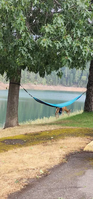 Applegate Lake Picture 6