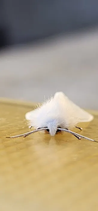 Applegate Lake Picture 4