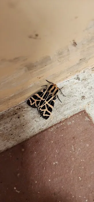 Applegate Lake Picture 10