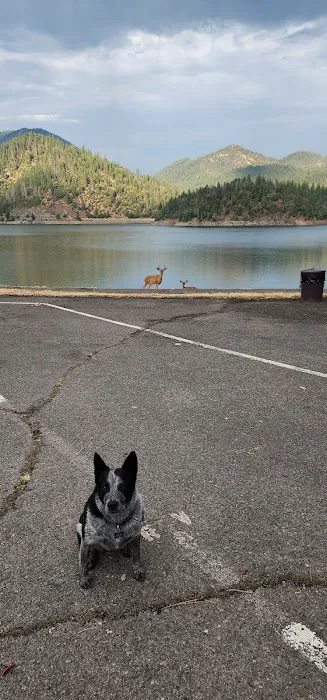 Applegate Lake Hart-Tish Park Picture 7