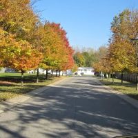 Mill Race Shores ico