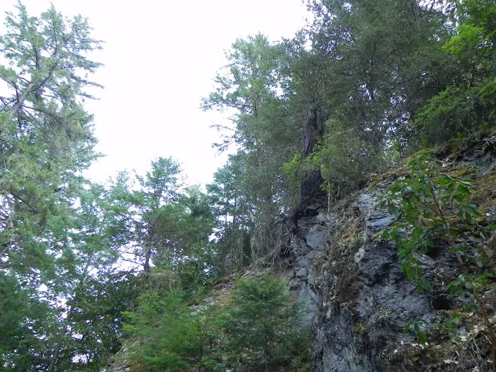 Acorn Woman Lakes Picture 9