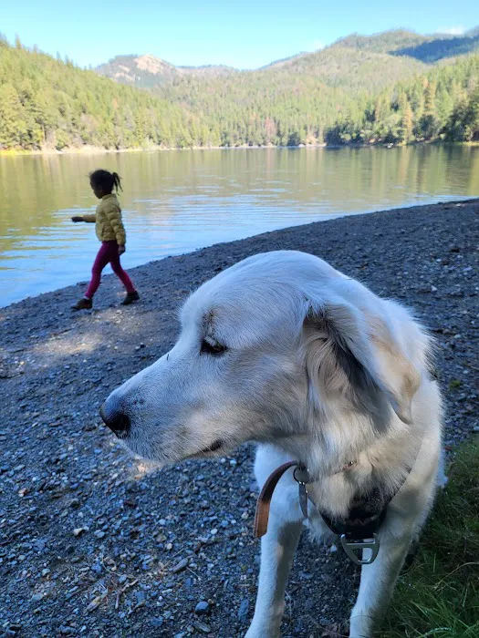 Acorn Woman Lakes Picture 2